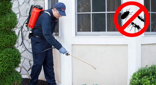 Evka 1 Bit İlaçlama böcek ilaçlama ve haşere kontrolü — ilaclama-tr.com